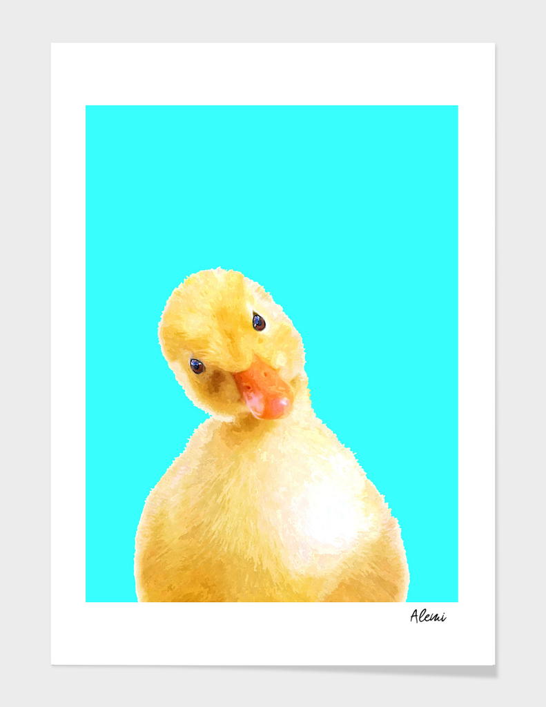Duckling Portrait Turquoise Background