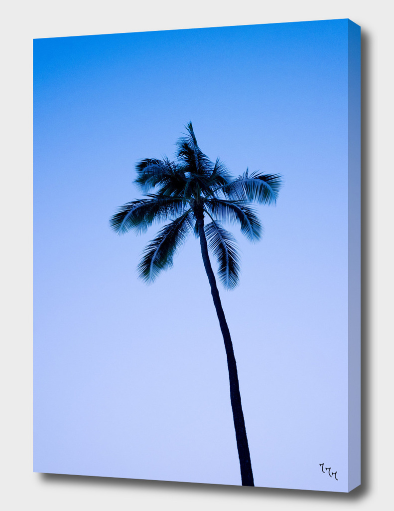 palmtree ver.blue
