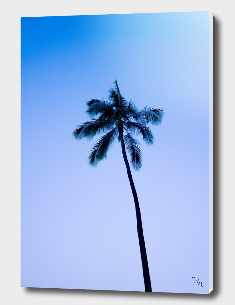 palmtree ver.blue