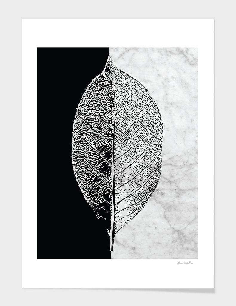 Natural Outlines - Leaf Black & White Marble #284