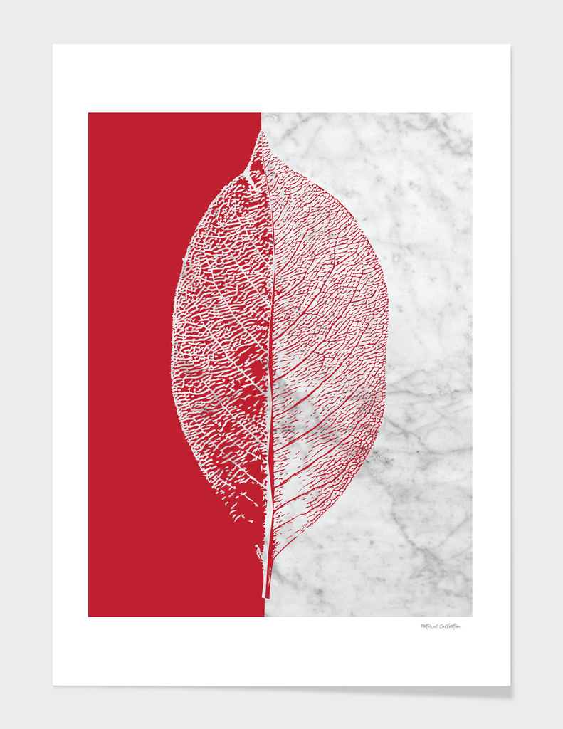 Natural Outlines - Leaf Red & White Marble #930