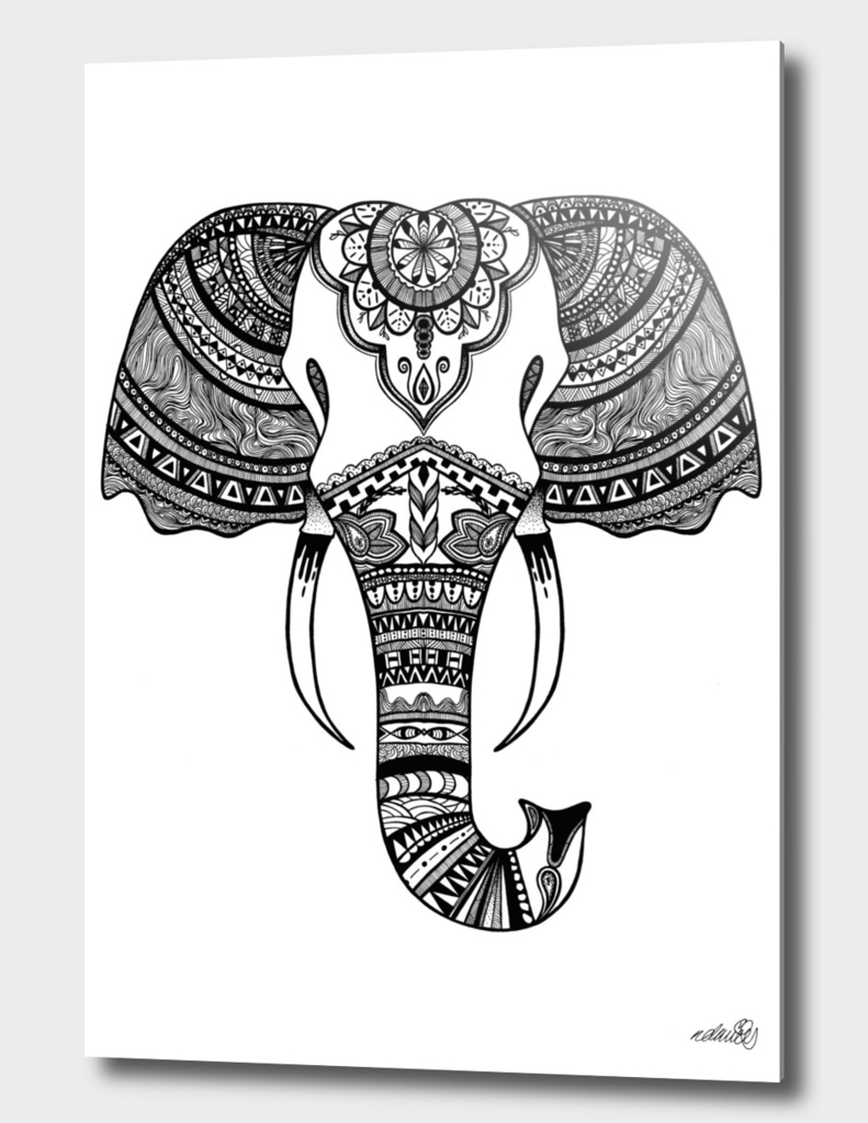 Elephant Illustration/Drawing