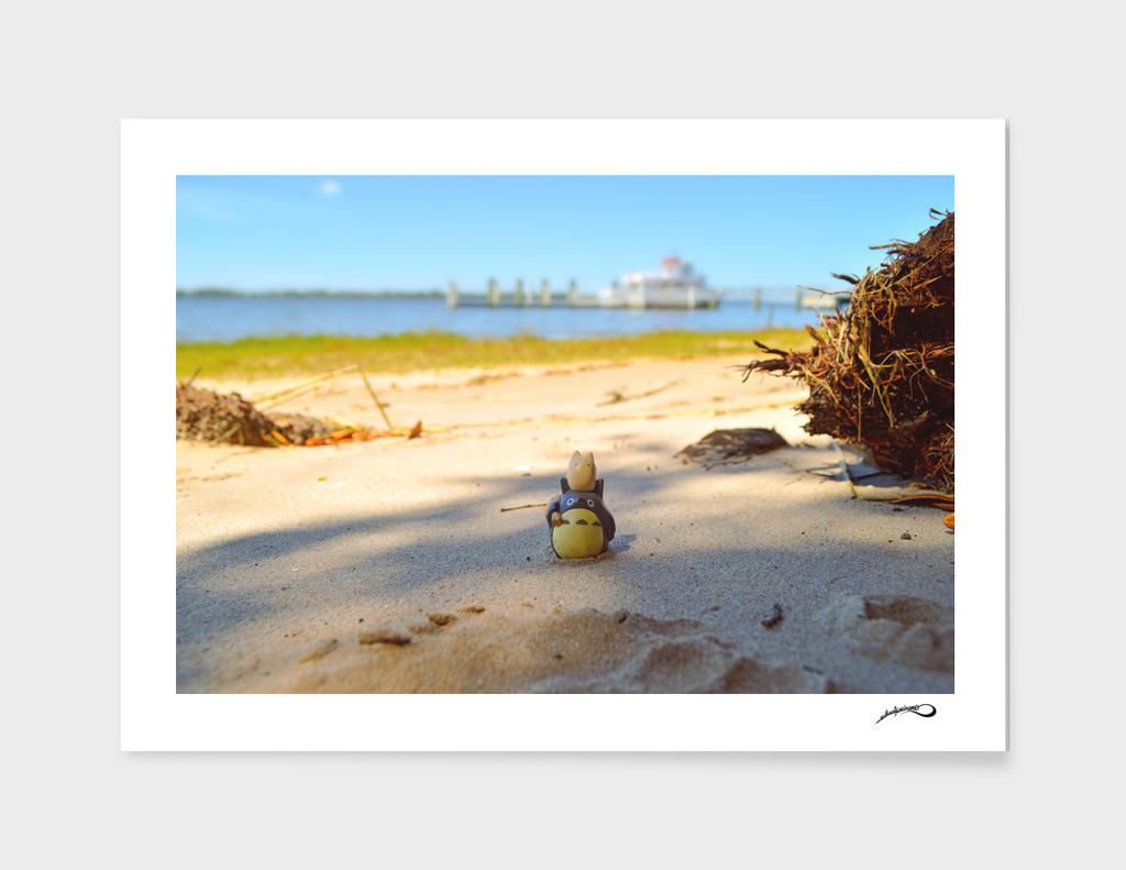 Totoro at the beach by #Bizzartino