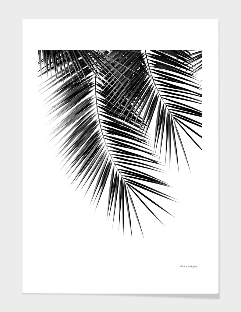 Black Palm Leaves Dream - Cali Summer Vibes #2 #tropical