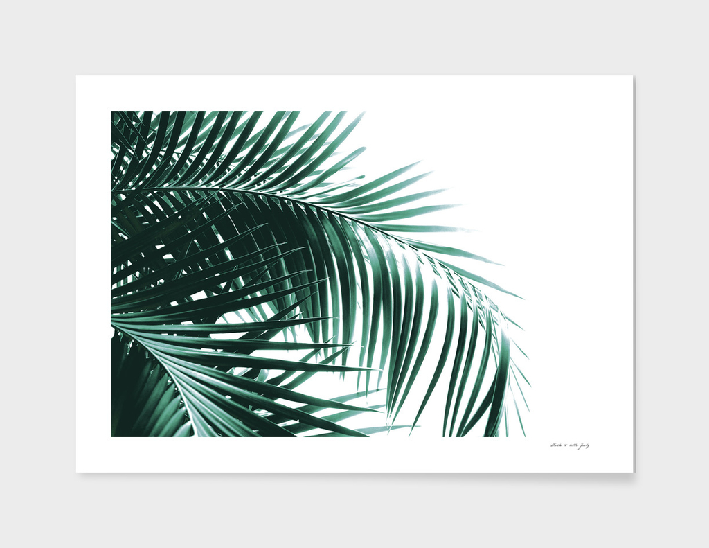 Palm Leaves Green Vibes #8 #tropical #decor #art