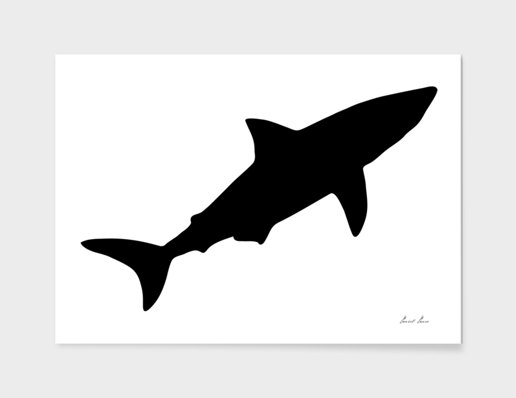 shark silhouette