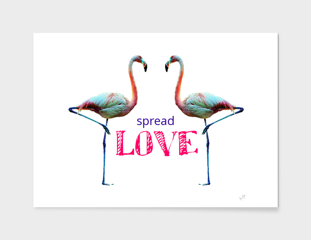 Flamingo Spread Love Quote