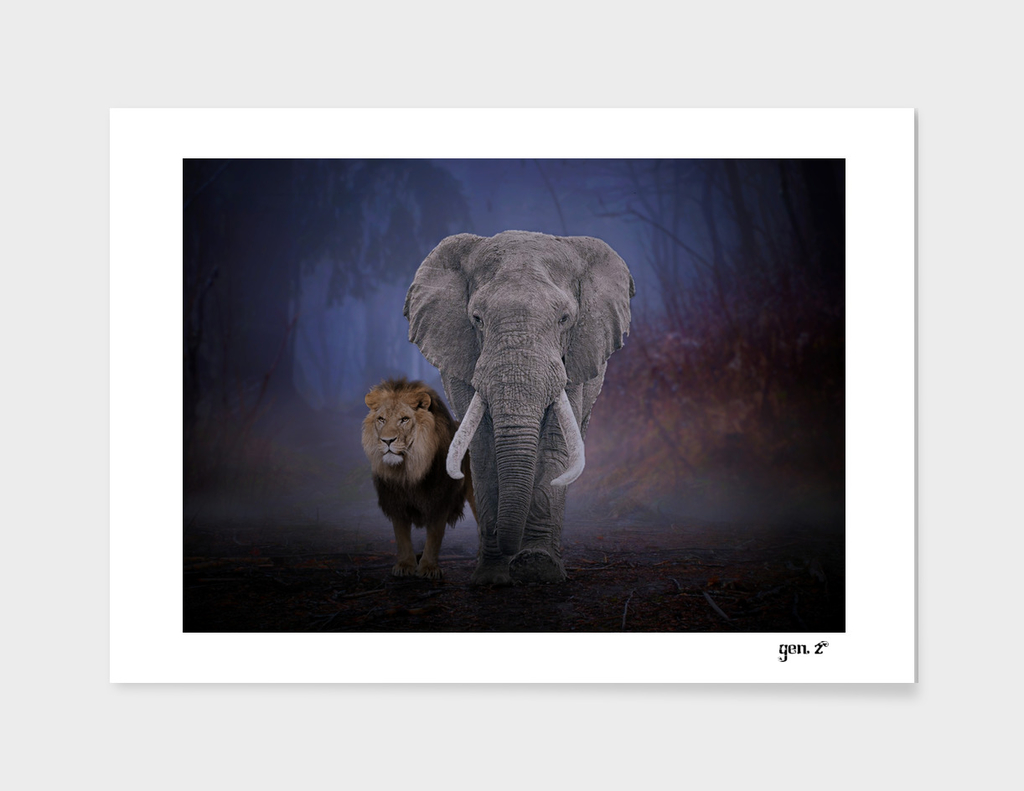 Lion & Elephant by GEN Z
