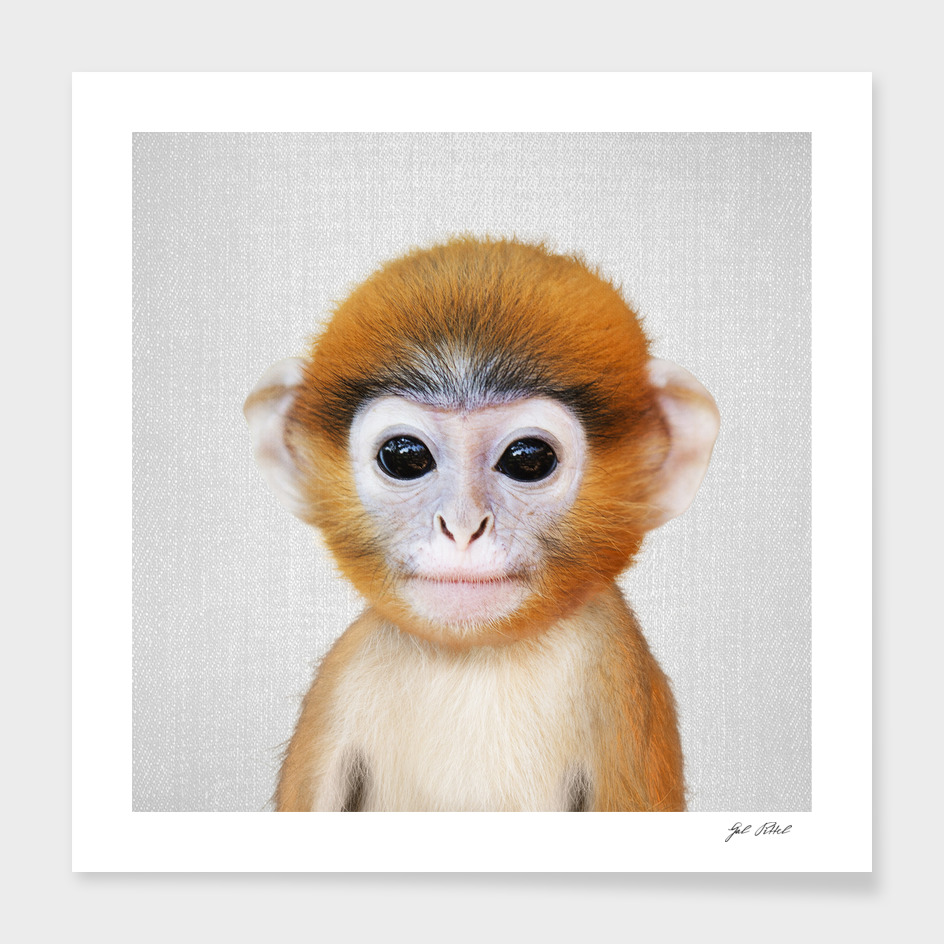 Baby Monkey - Colorful