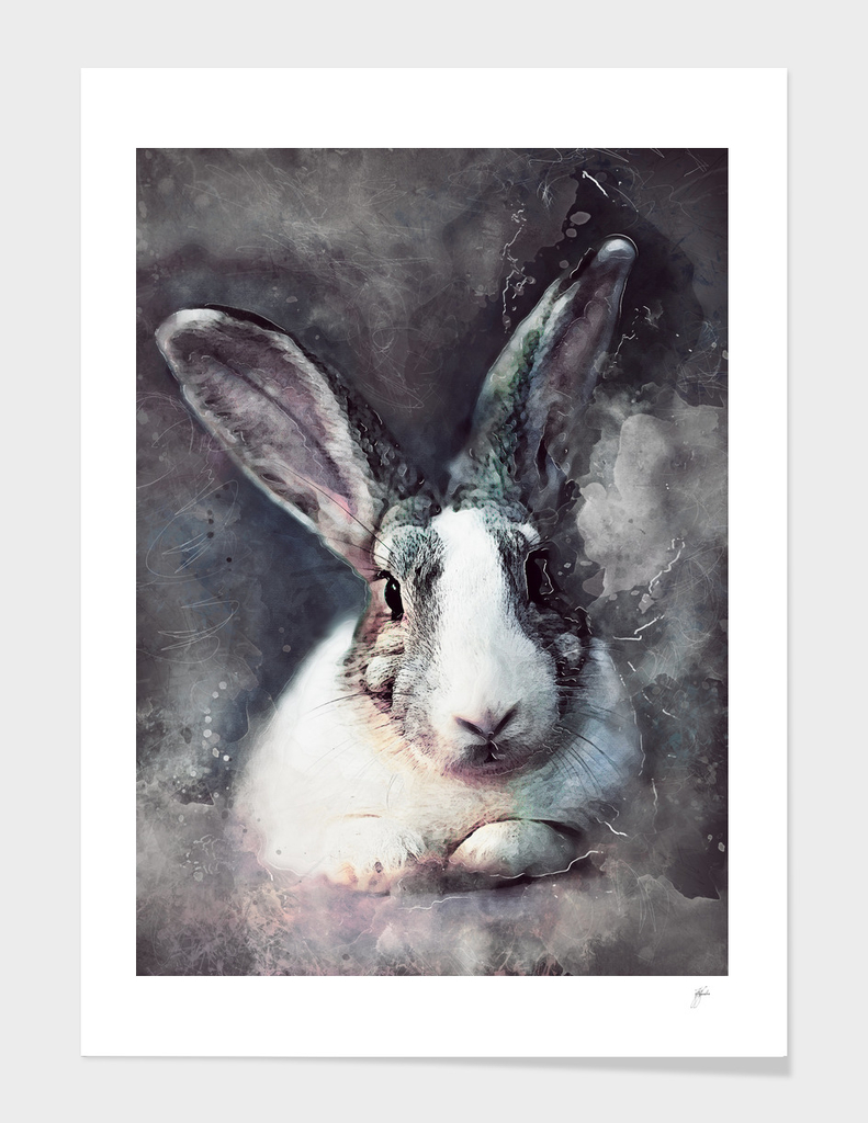 Rabbit Bunny art #rabbit #bunny #animals