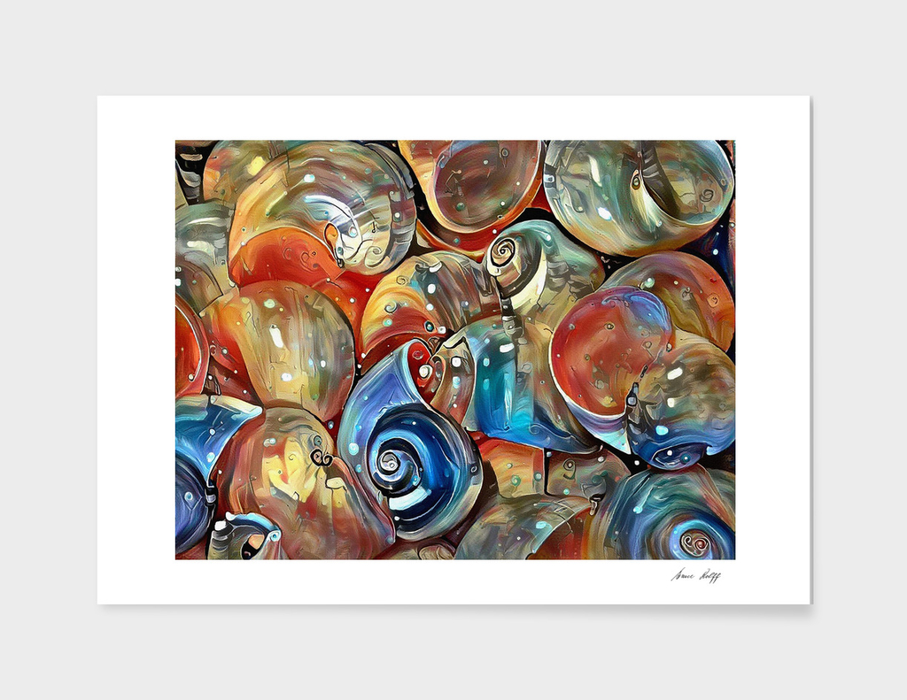 Seashell Colorful Pattern