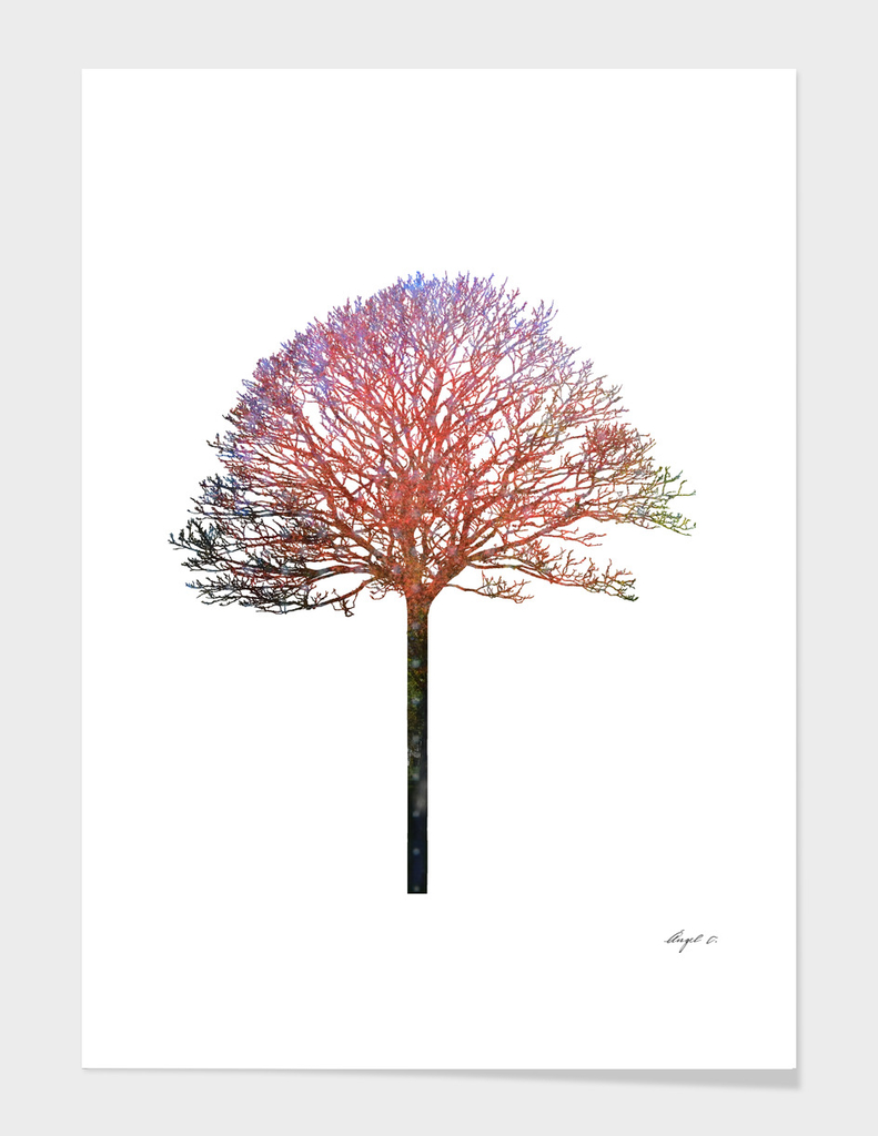 Tree I