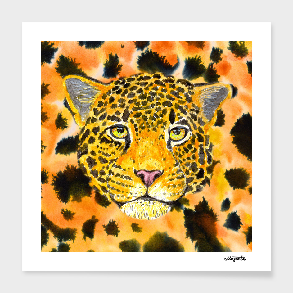 Orange Leopard
