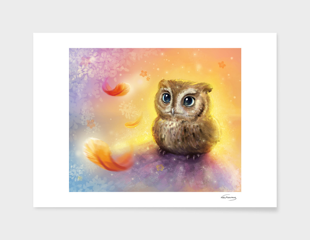 Mr Owl