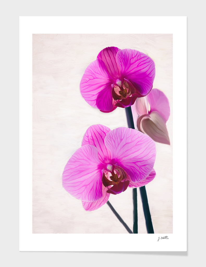 Orchid, flower painting
