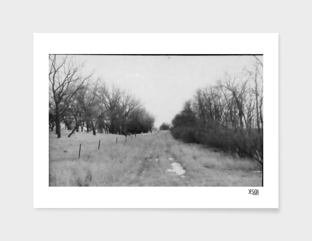 Road to Nowhere - Film Photograph