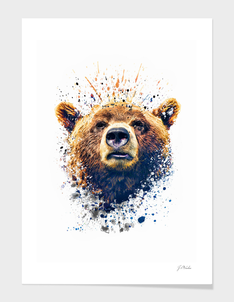 Bear face splatter