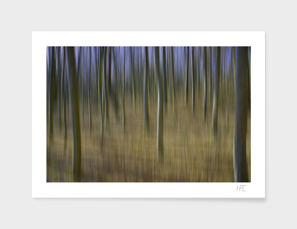 Forest in motion