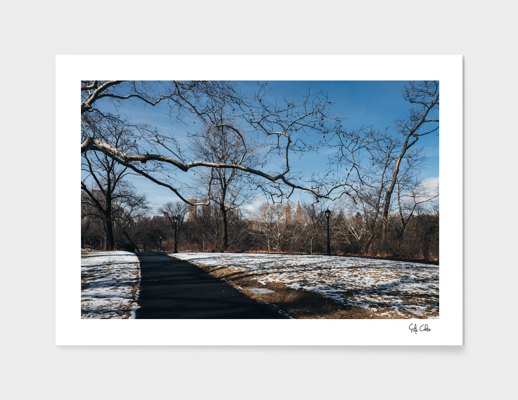 Rumsey Playfield of Central Park with snow in winter