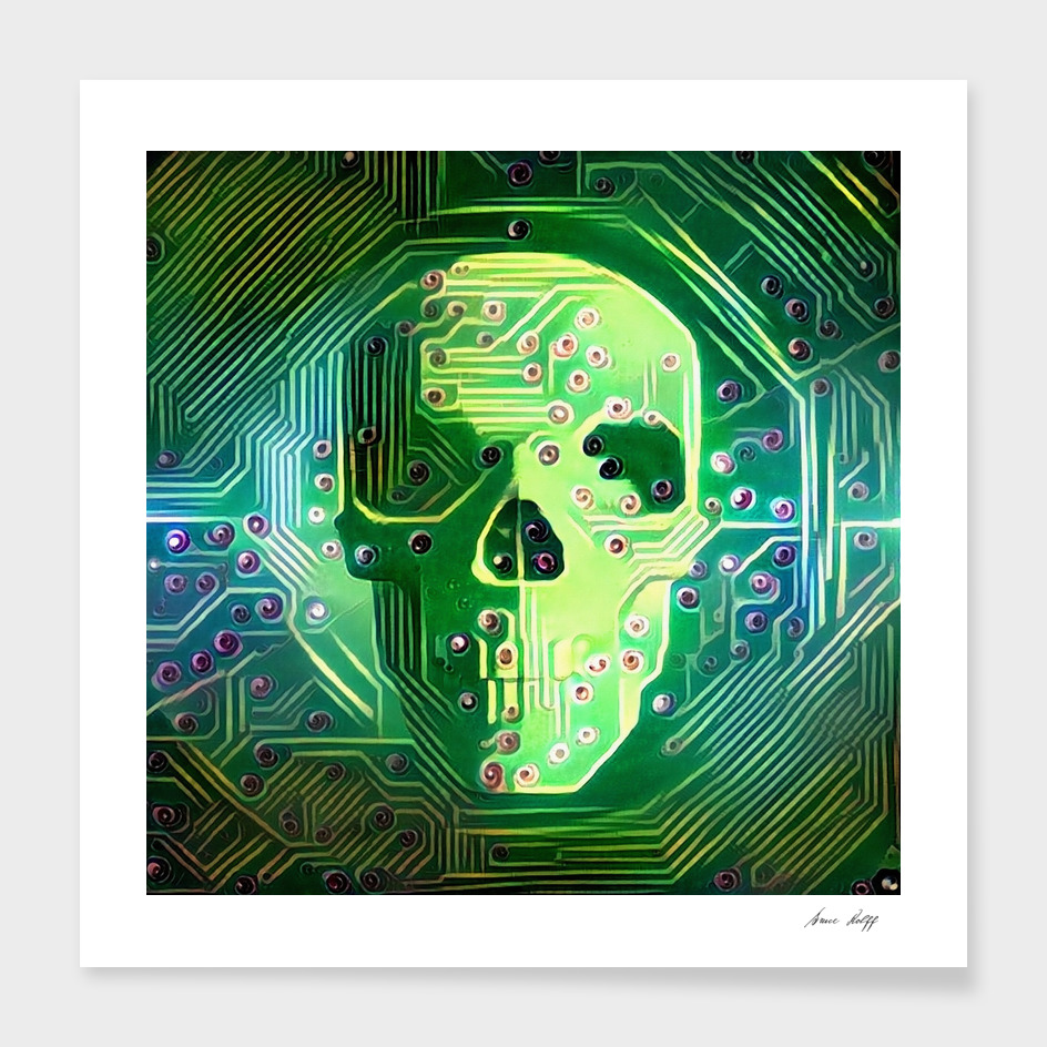 Digital Skull