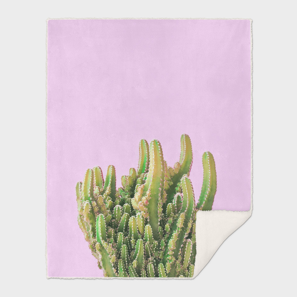 Summer Cactus Fingers on Soft Lavender