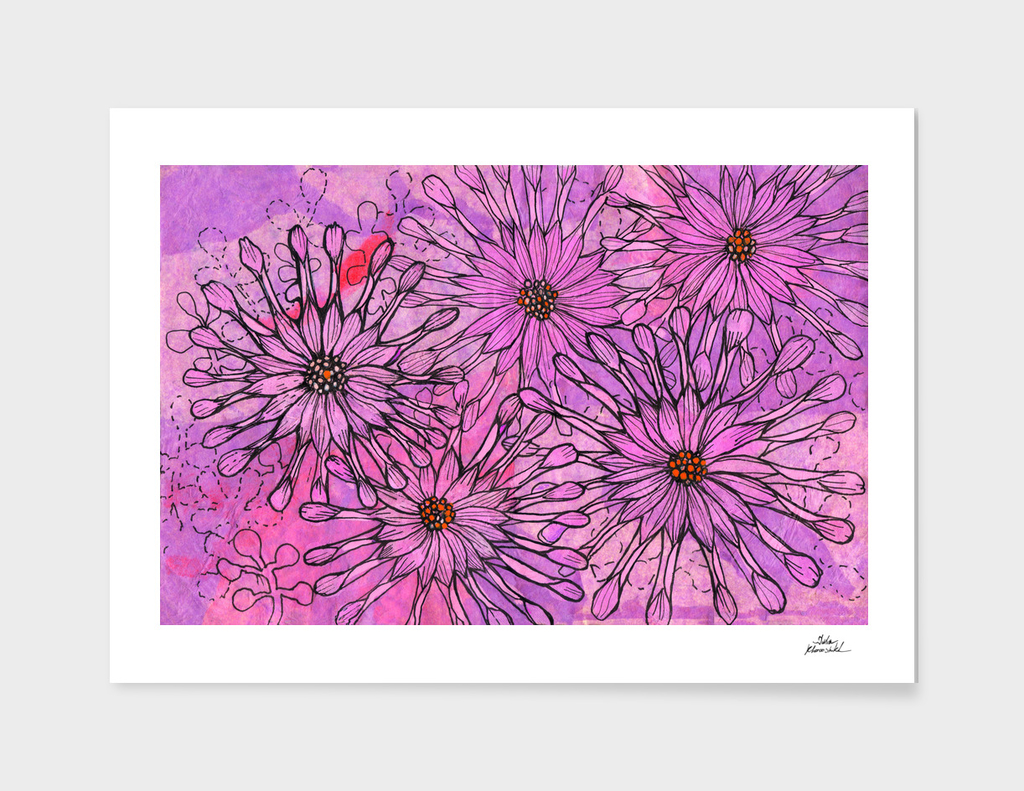 African Daisy, Cape Daisies, Pink Flowers, Floral Art