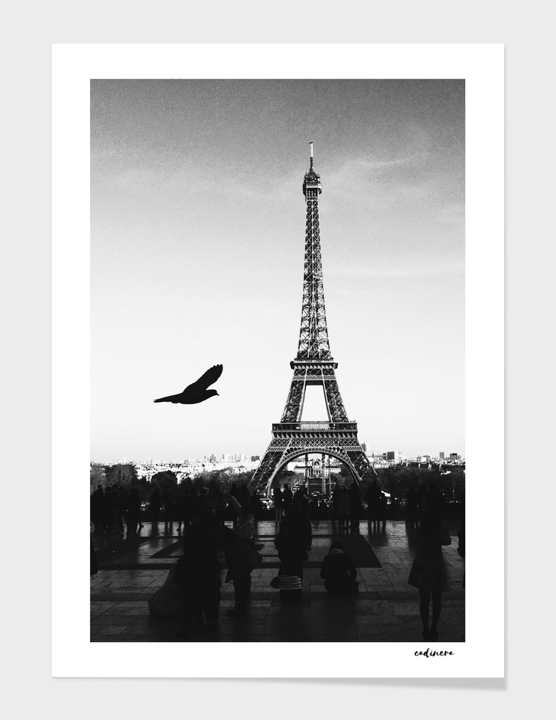 Paris Without Emotion // Black And White Photography