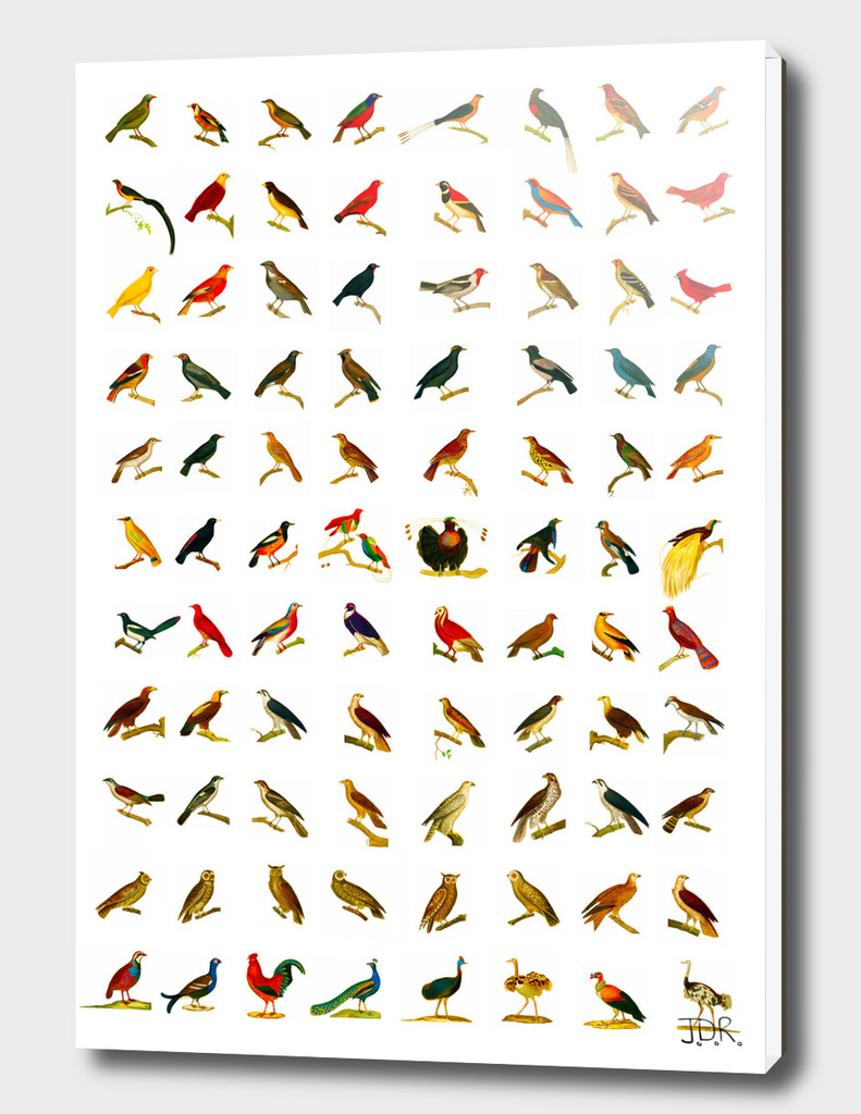 88 of Georges-Louis Leclercs' Birds