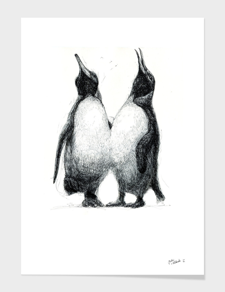 Twin penguins