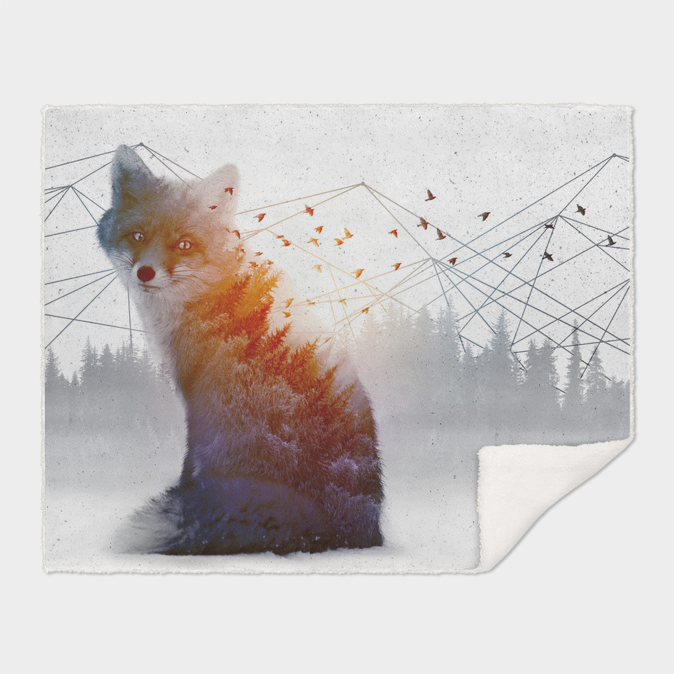 A Wilderness Within | Fox