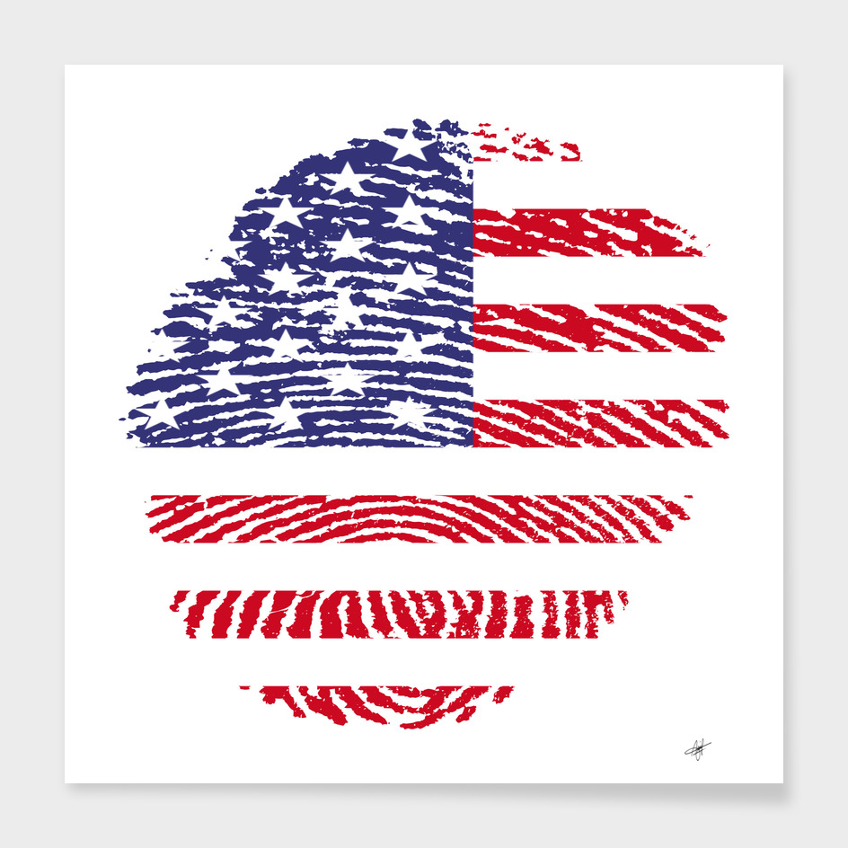 united states fingerprint flag