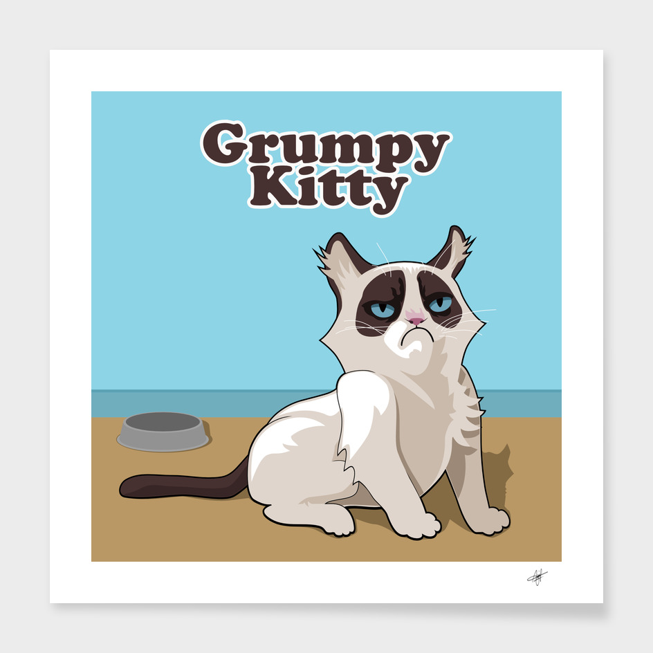 Grumpy kitty cat mieze pet animal portrait
