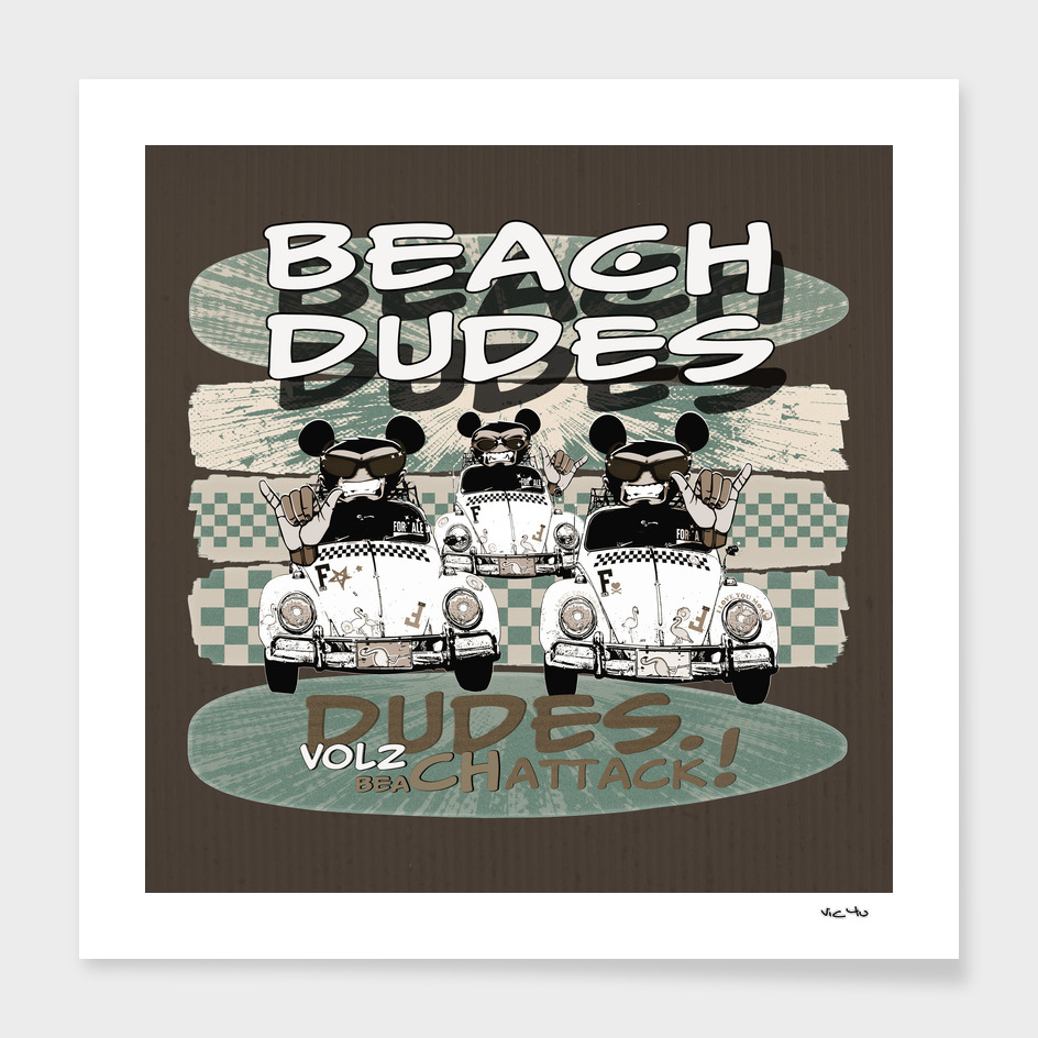 Beach Dudes Vol2 on cardboard vintage