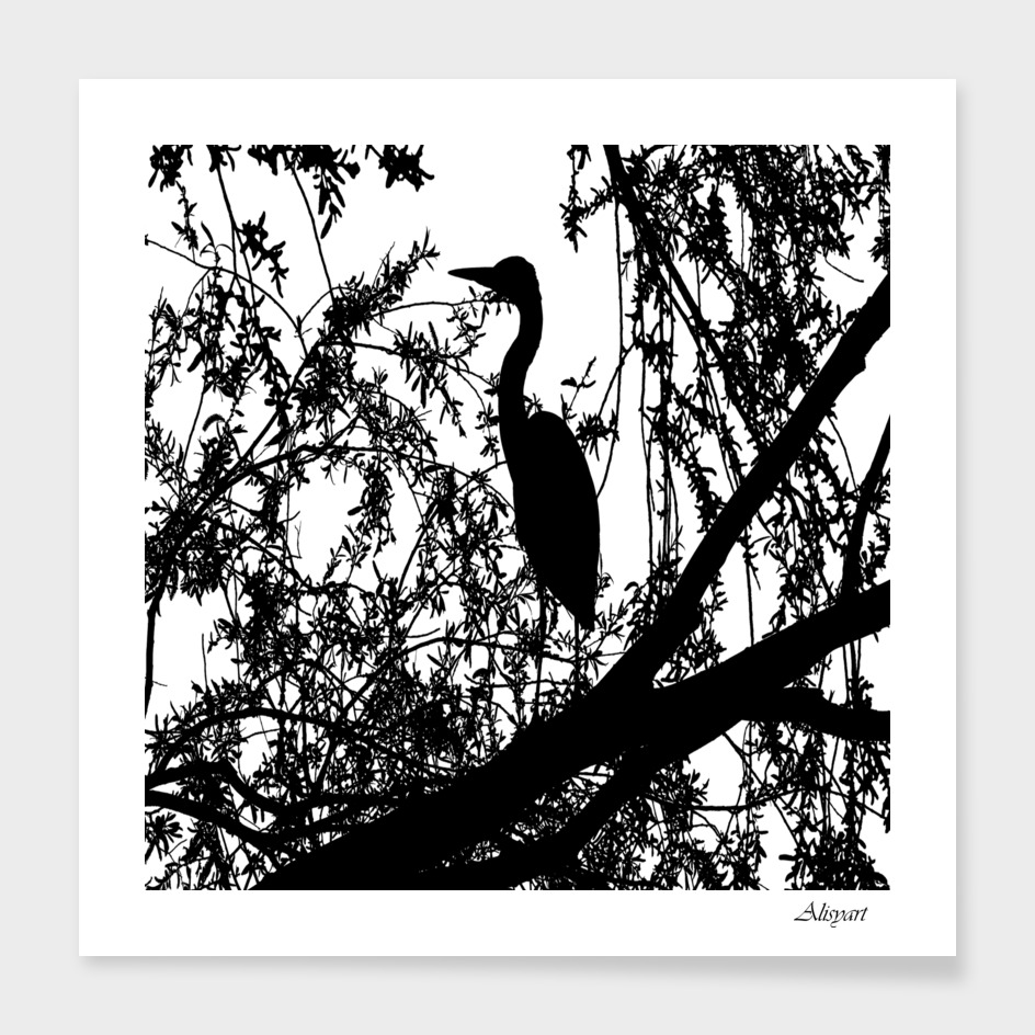 heron bird trees