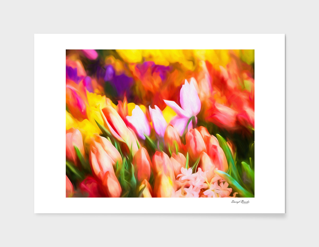 Many Colorful Tulips-Edit