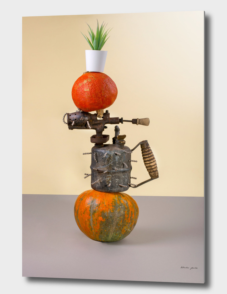 Abstract still life with pumpkins, blowtorch and cactus