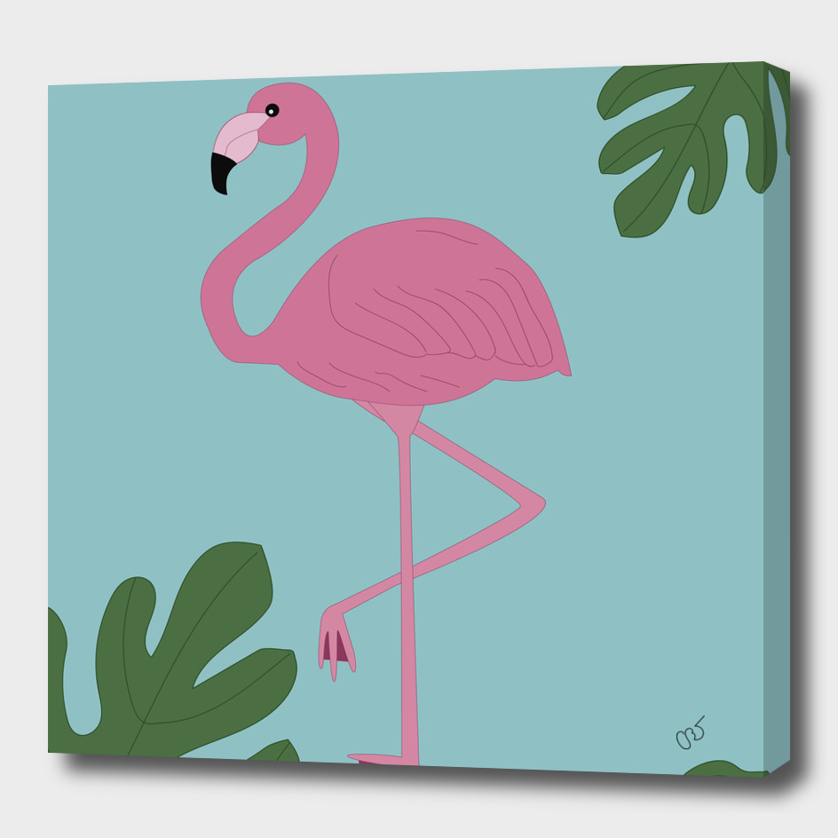 Flamingo Fever