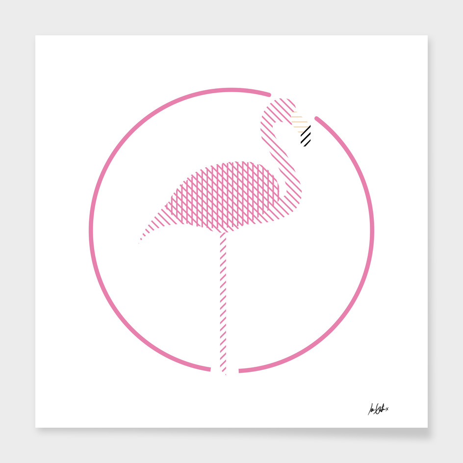 Lines of Flamingos