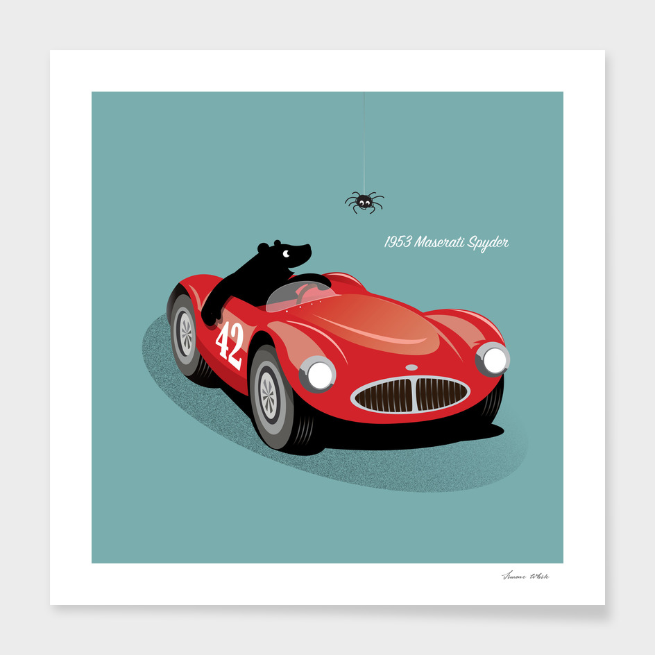 Bear and the Maserati Spyder