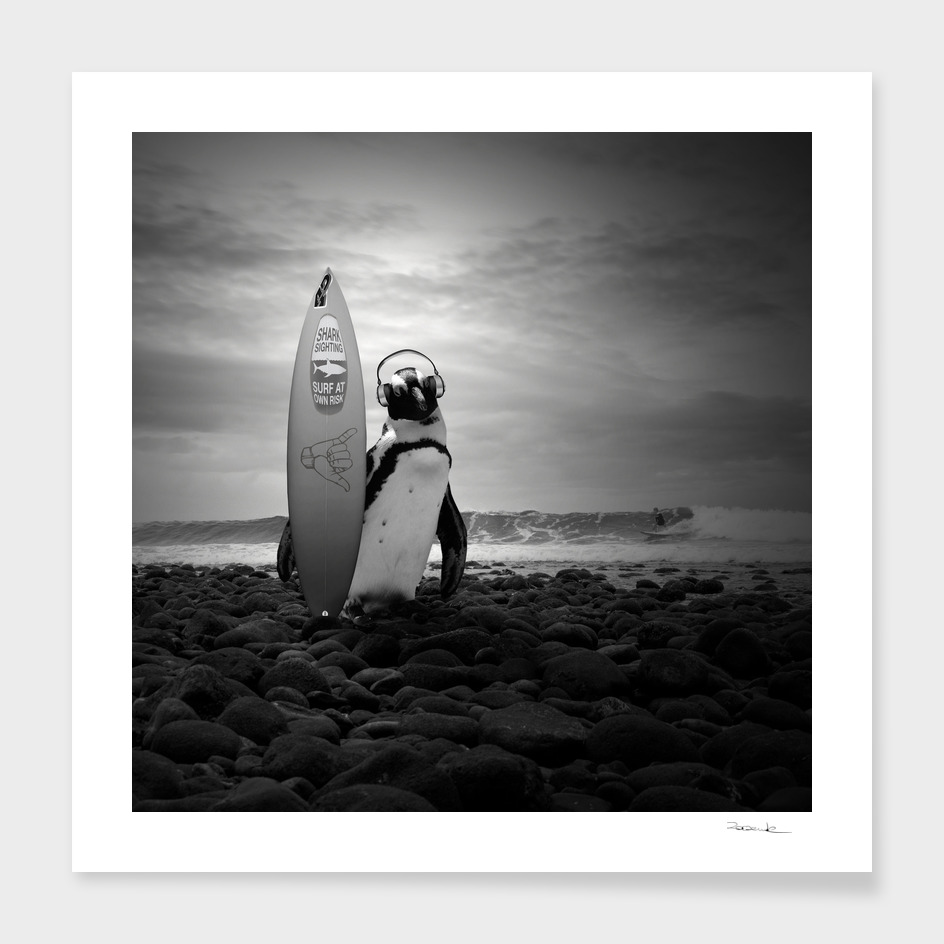 Surfin' penguin