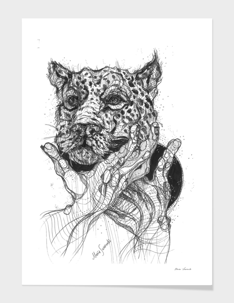 Wild Cat drawing