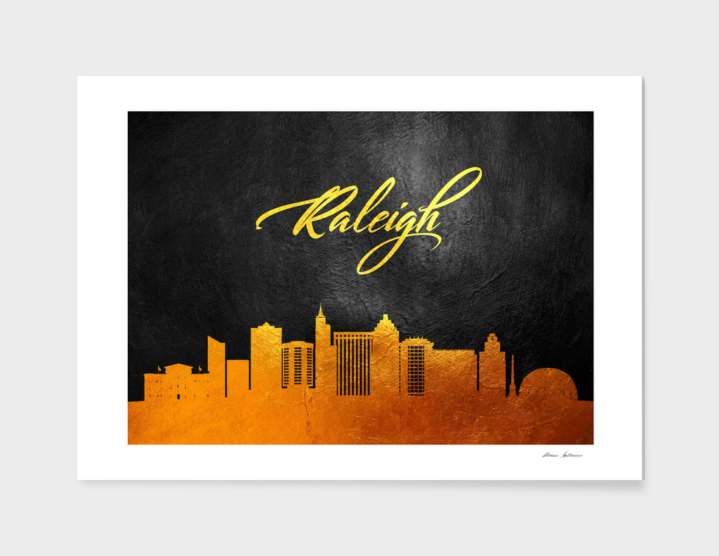 Raleigh North Carolina Gold Skyline