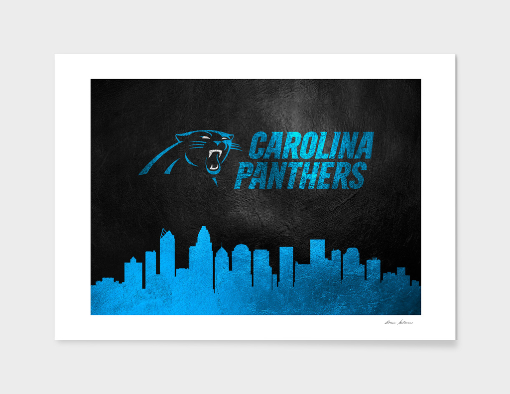 Carolina Panthers Skyline