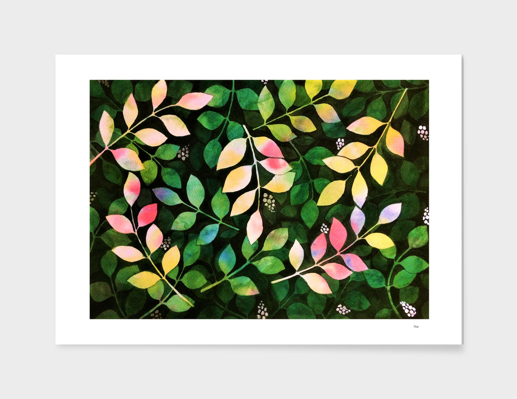 leaves In Watercolor