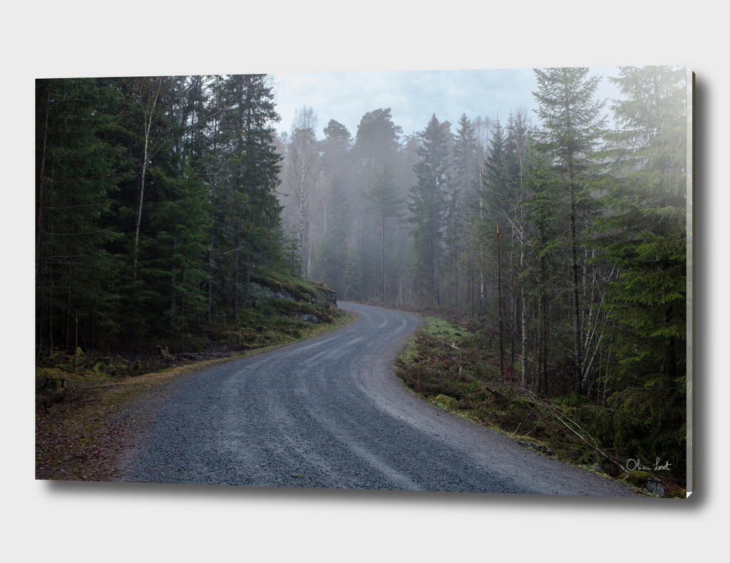 Foggy road in Oslo