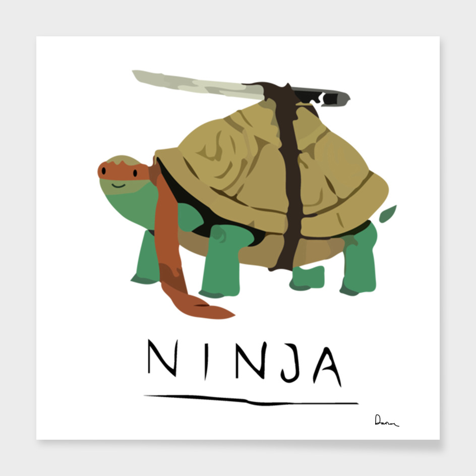 Ninja Turtle parody