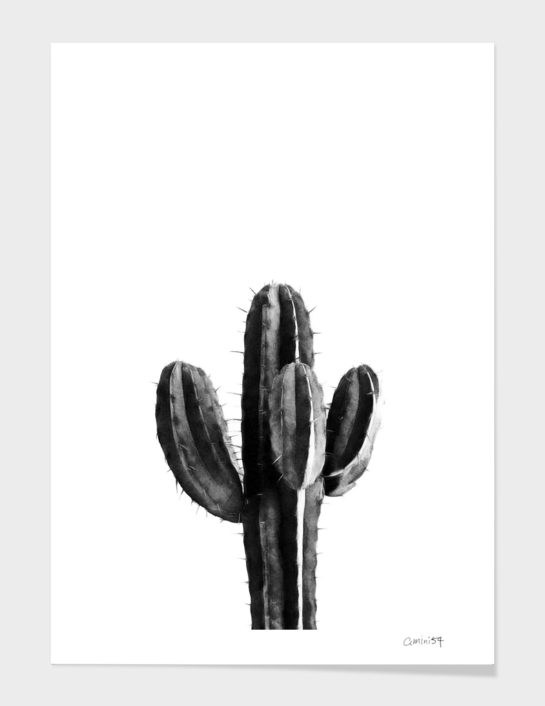 Cactus Black and White 03