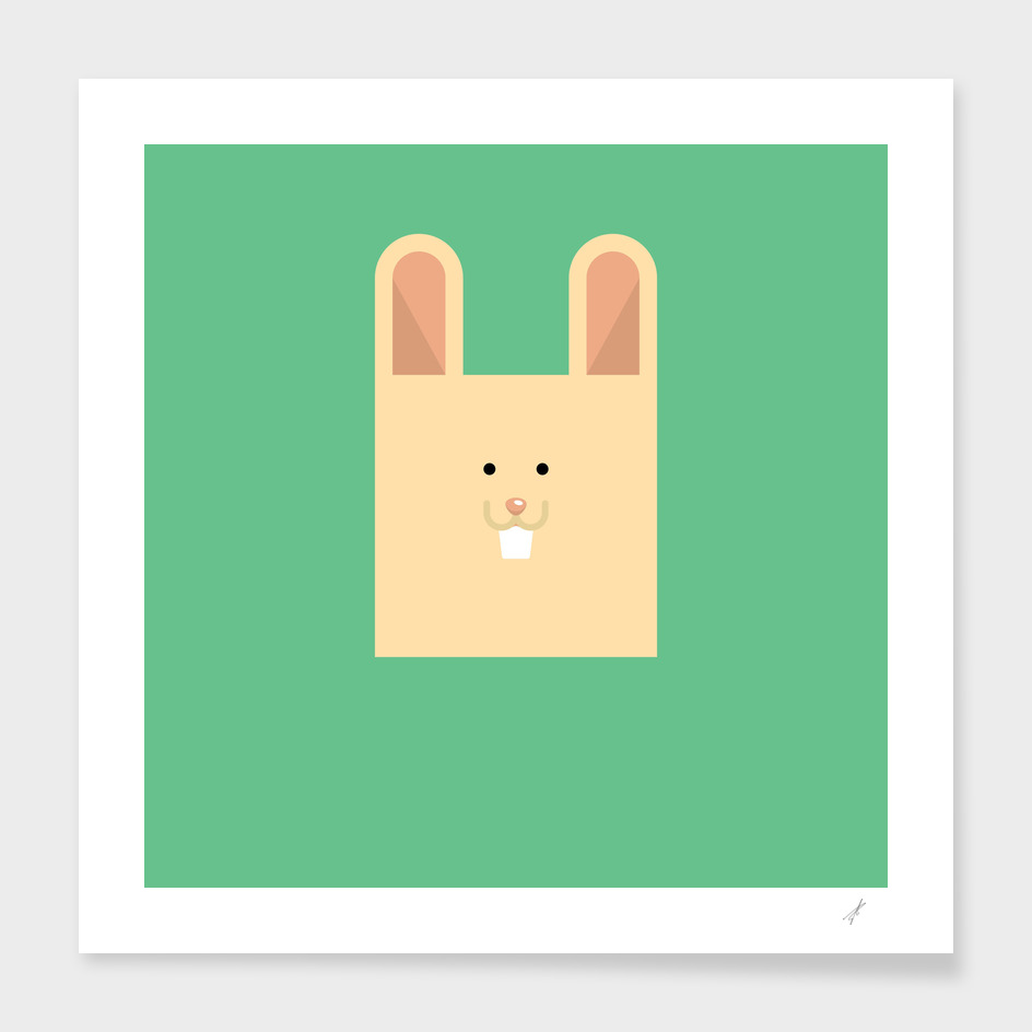 Cubic Rabbit