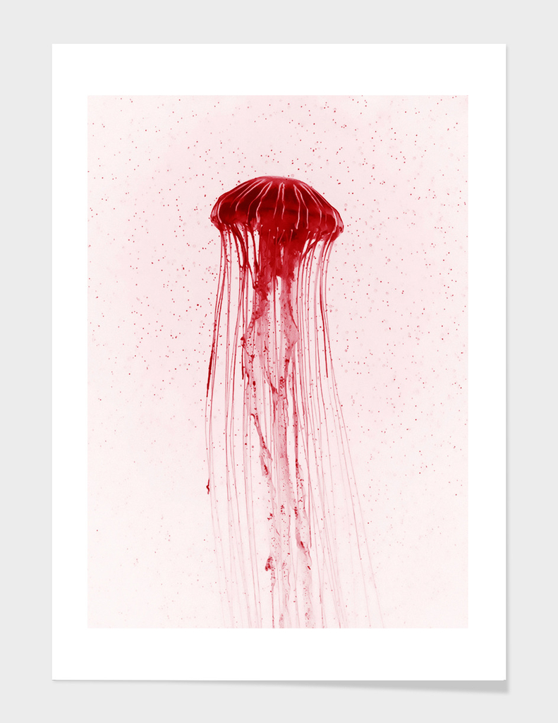 Cherry jellyfish