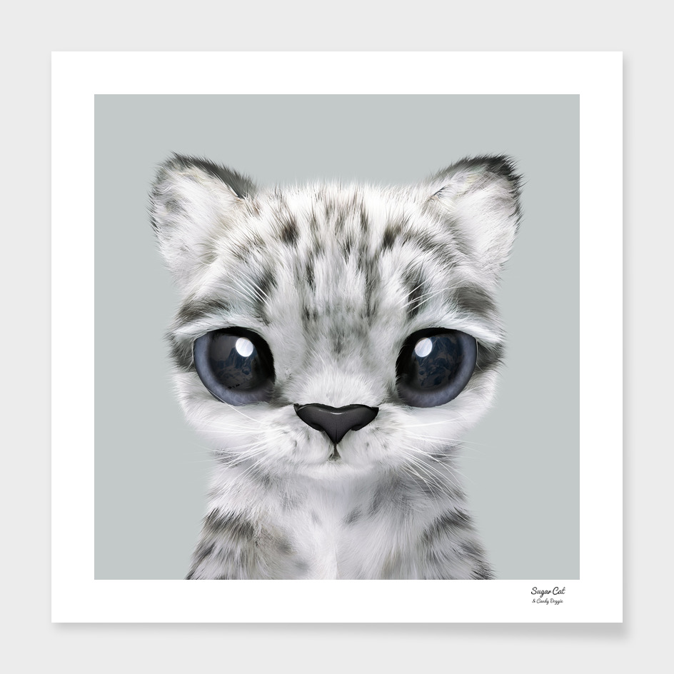 Yungki the Snow Leopard